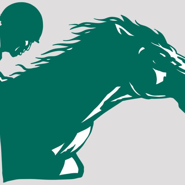 AR EQUEST 19 RC Thumbnail