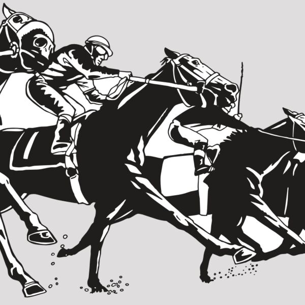 AR EQUEST 13 RC Thumbnail