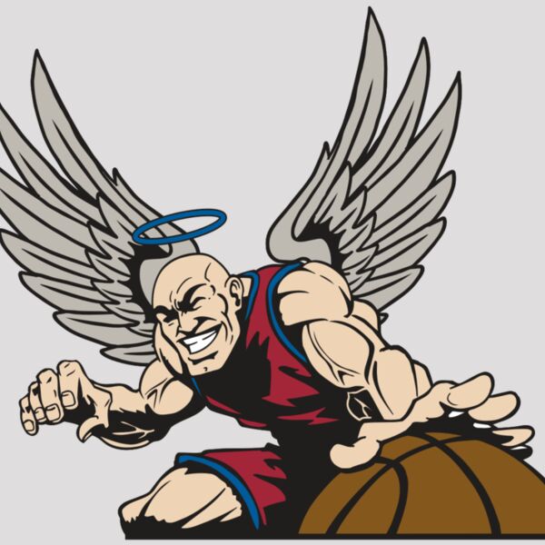 AR17 ANGEL BSKT 04 RQC Thumbnail