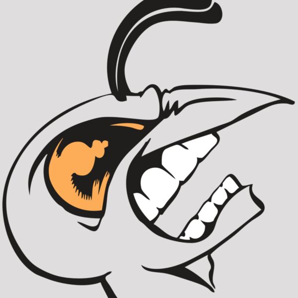 BAW BEE 19 RC Thumbnail