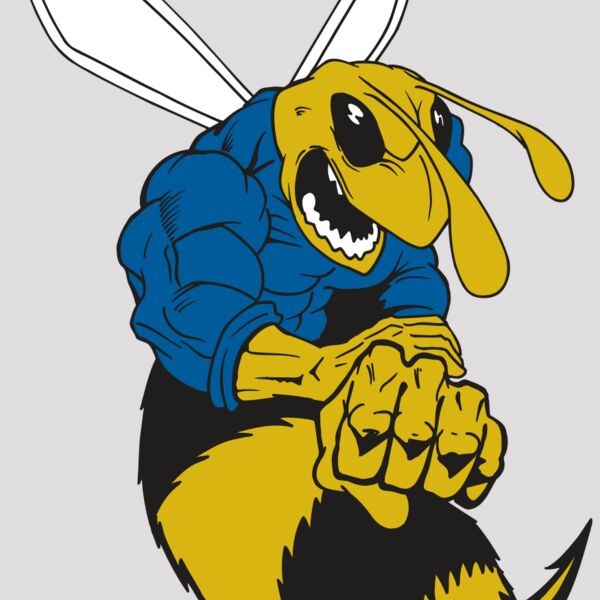 AR5 BEE 29 RQC Thumbnail