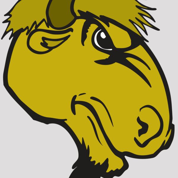 AR BUFFALO 14 RC Thumbnail