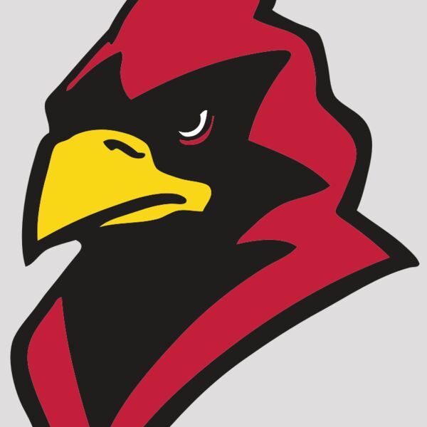 AR CARDINAL 22 RC Thumbnail