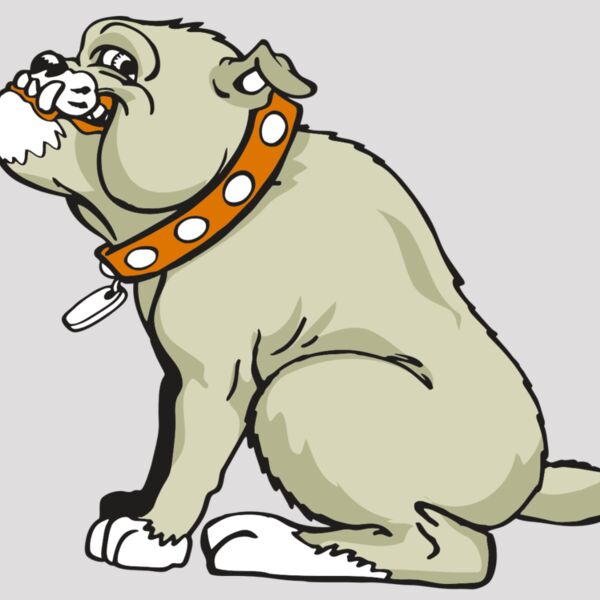 AR BDOG 26 RC Thumbnail