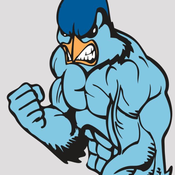 BAW BLUEJAY 13 RC Thumbnail