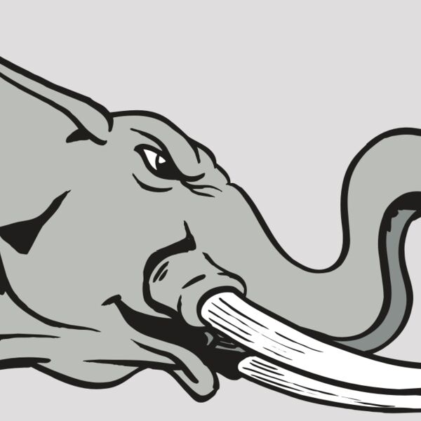 AR ELEPH 16 RC Thumbnail