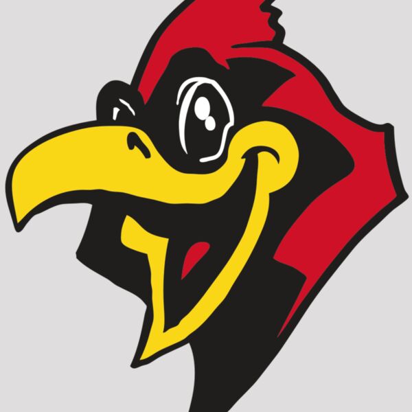 AR CARDINAL 36 RC Thumbnail