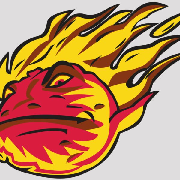 COMET HD0501 RQC Thumbnail