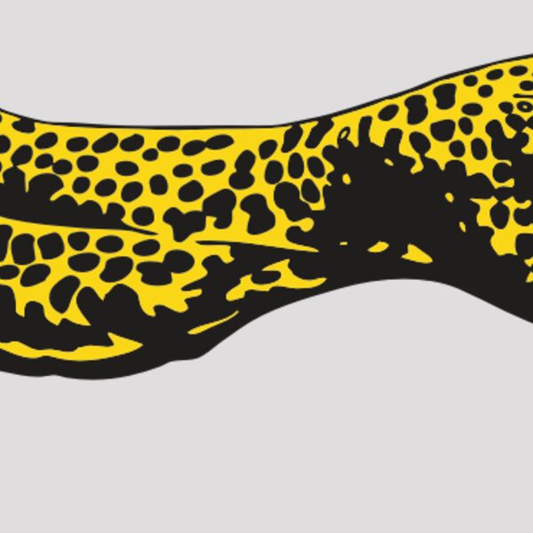 AR CHEETAH 12 RC Thumbnail