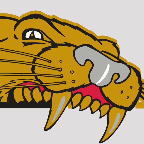 AR COUGAR 73 RC Thumbnail