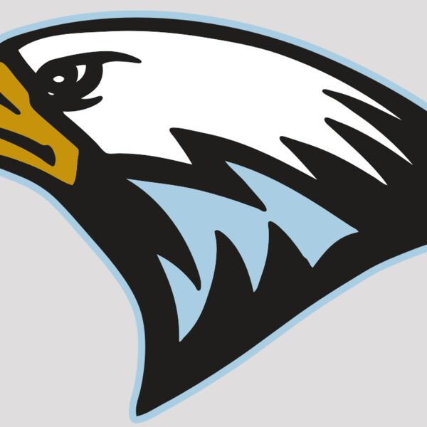 AR EAGLE 27 RC Thumbnail