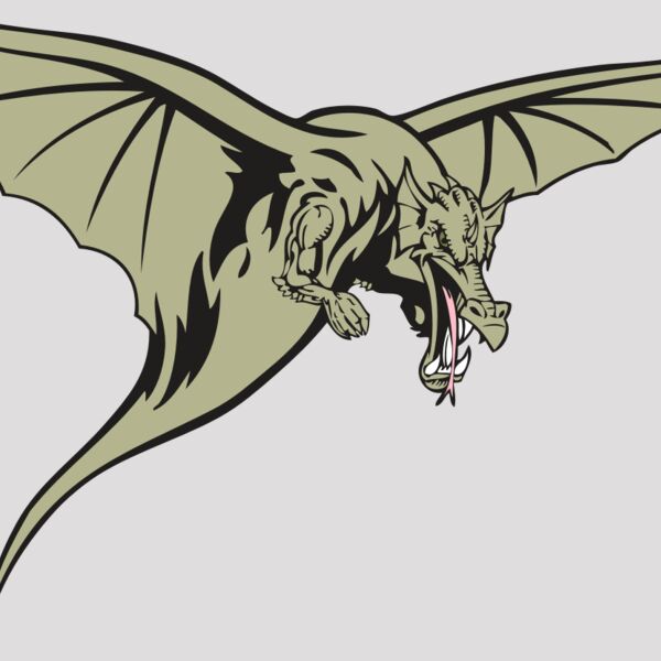 BAW DRAGON 12 RC Thumbnail