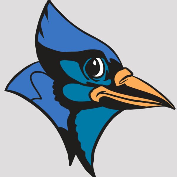 AR31 BLUEJAY 04 RQC Thumbnail