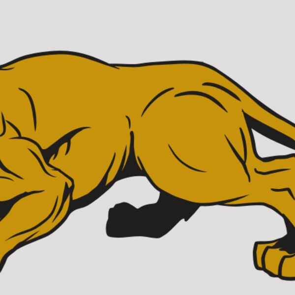 AR10 PAN COU 01 RQC Thumbnail