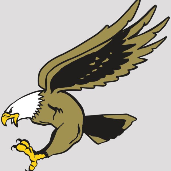 AR EAGLE 23 RC Thumbnail