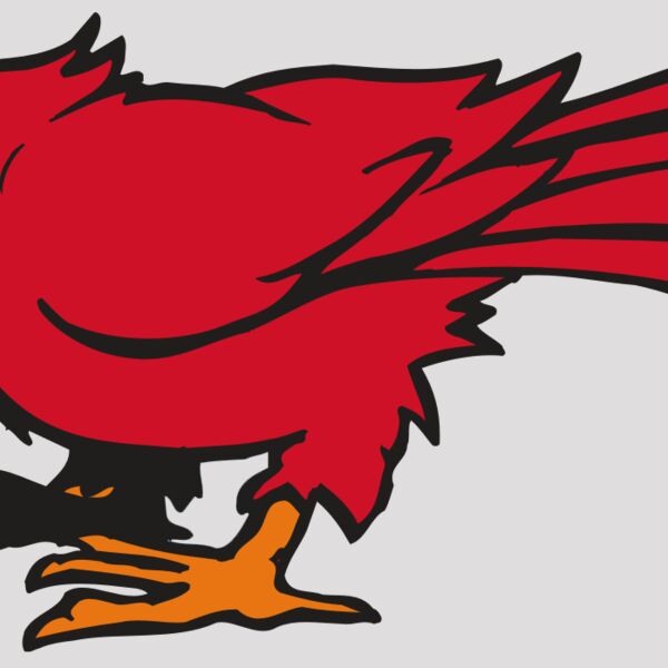 AR CARDINAL 59 RC Thumbnail