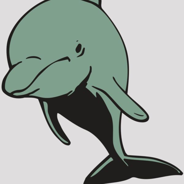 AR DOLPIN 11 RC Thumbnail