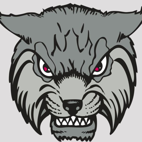 BAW BOBCAT 02 RC Thumbnail