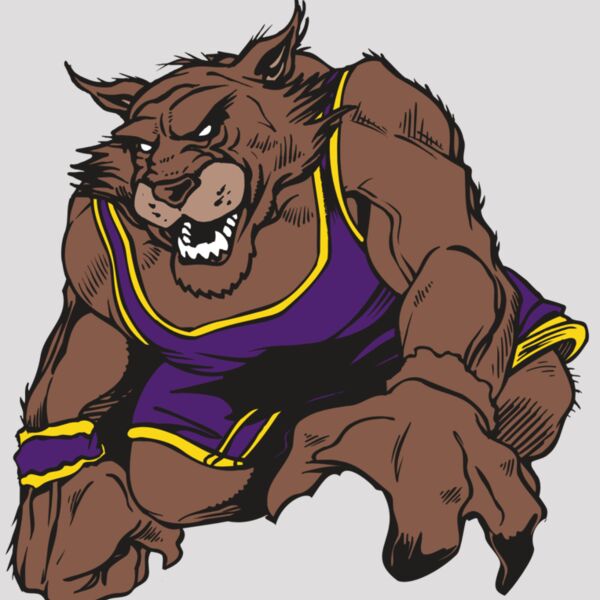 AR WILDCAT 23 RC Thumbnail