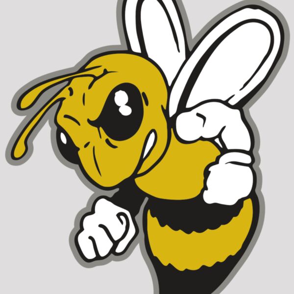 AR BEE 60 RC Thumbnail