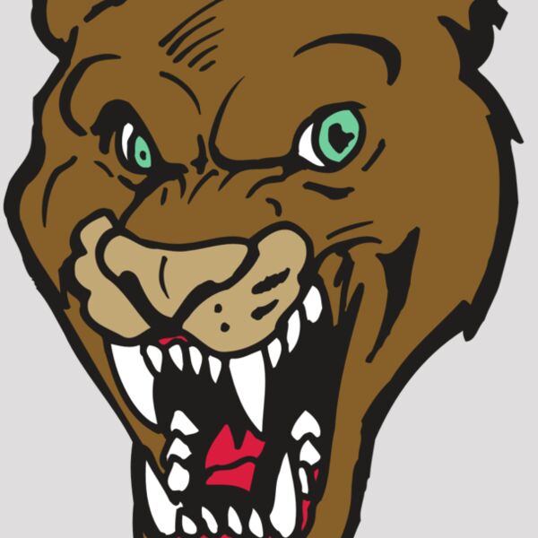 AR5 COUGAR 16 RQC Thumbnail