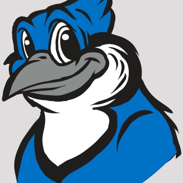 AR31 BLUEJAY 02 RQC Thumbnail