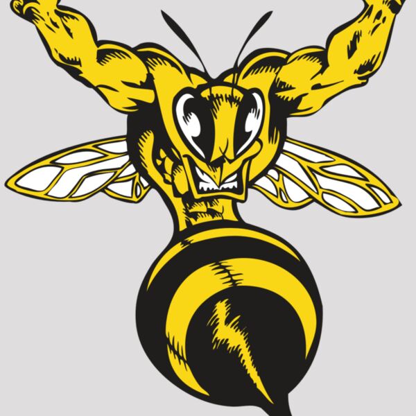 BAW BEE 04 RC Thumbnail