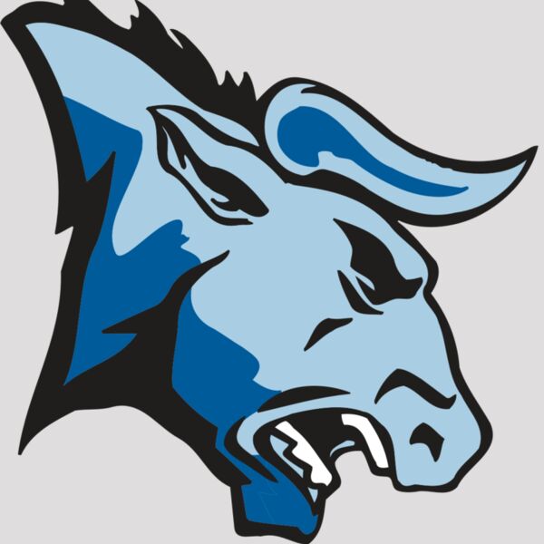 AR BULL 20 RC Thumbnail