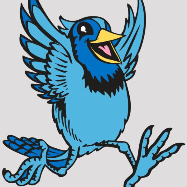 BAW BLUEJAY 09 RC Thumbnail