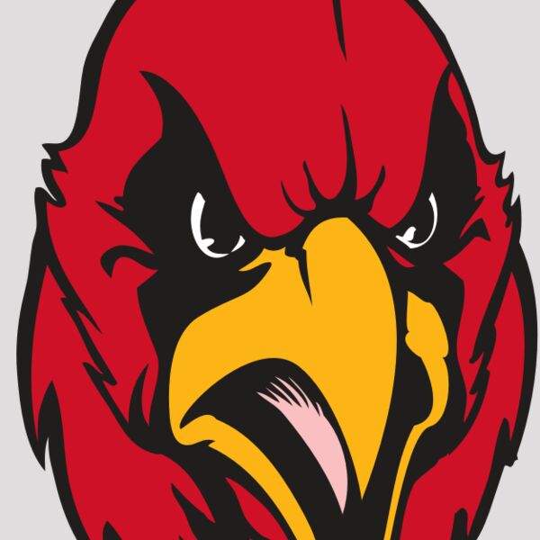 BAW CARDINAL 11 RC Thumbnail