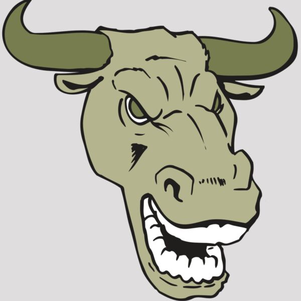 AR BULL 34 RC Thumbnail