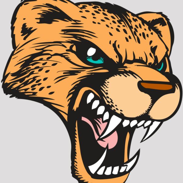 BAW CHEETAH 19 RC Thumbnail