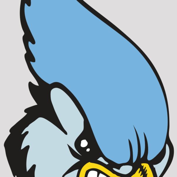 BAW BLUEJAY 05 RC Thumbnail