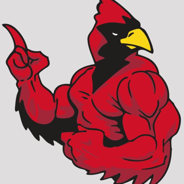 AR CARDINAL 28 RC Thumbnail