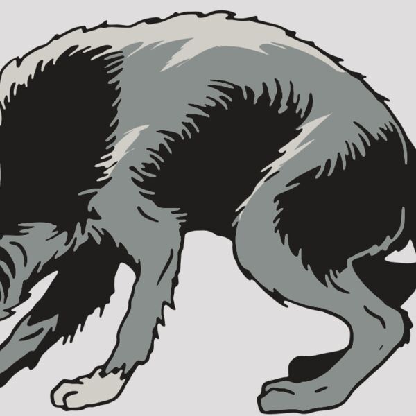 AR32 COYOTE 05 RQC Thumbnail