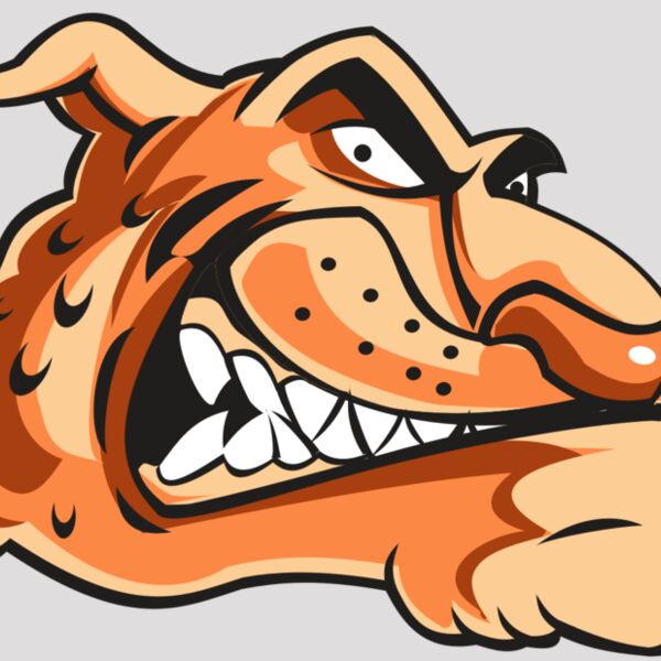 CHEETAH HD0503 RQC Thumbnail