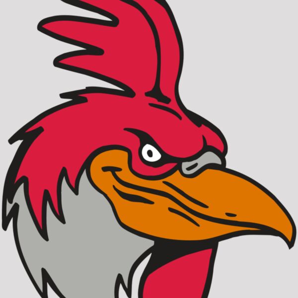 AR5 Gamecock 05 RQC Thumbnail