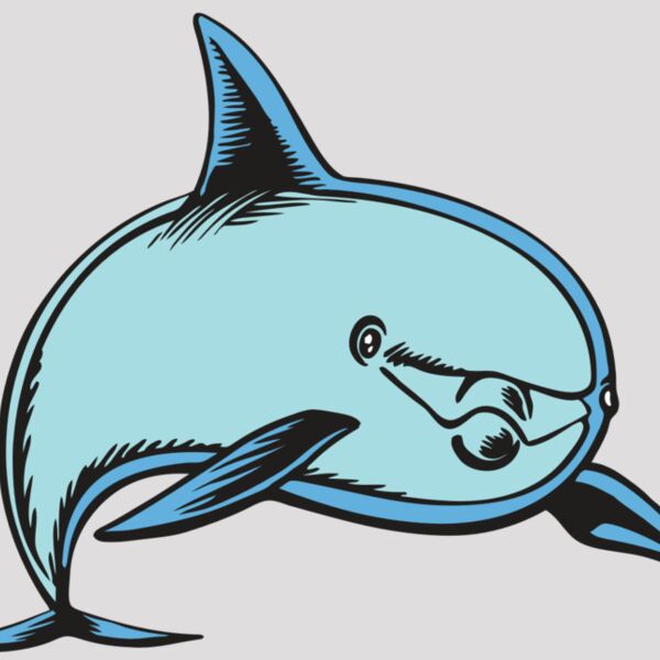 BAW DOLPHIN 04 RC Thumbnail