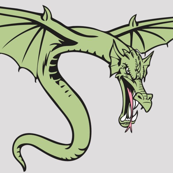 BAW DRAGON 08 RC Thumbnail