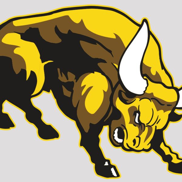 AR BULL 57 RC Thumbnail