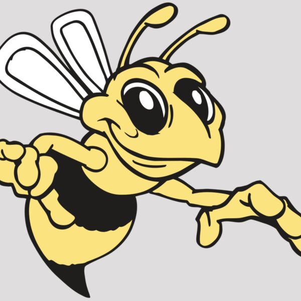 AR BEE 35 RC Thumbnail