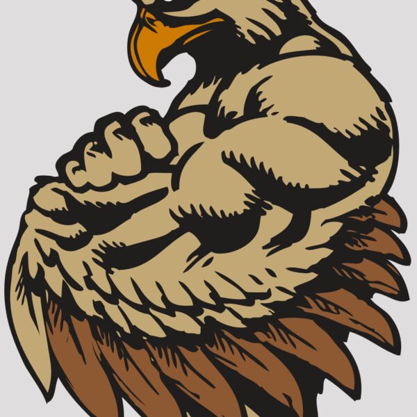 BAW HWK FLCN 02 RC Thumbnail