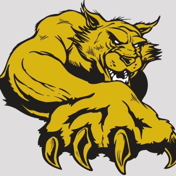 AR WILDCAT 26 RC Thumbnail