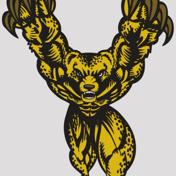 BAW CHEETAH 09 RC Thumbnail