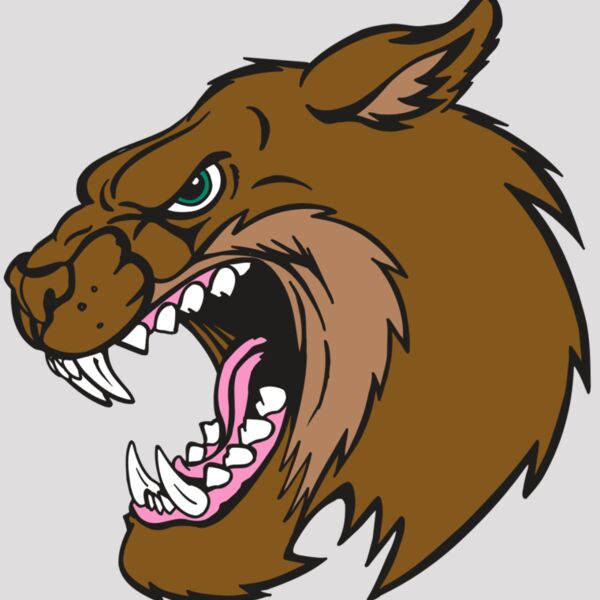 AR5 BOBCAT 18 RQC Thumbnail