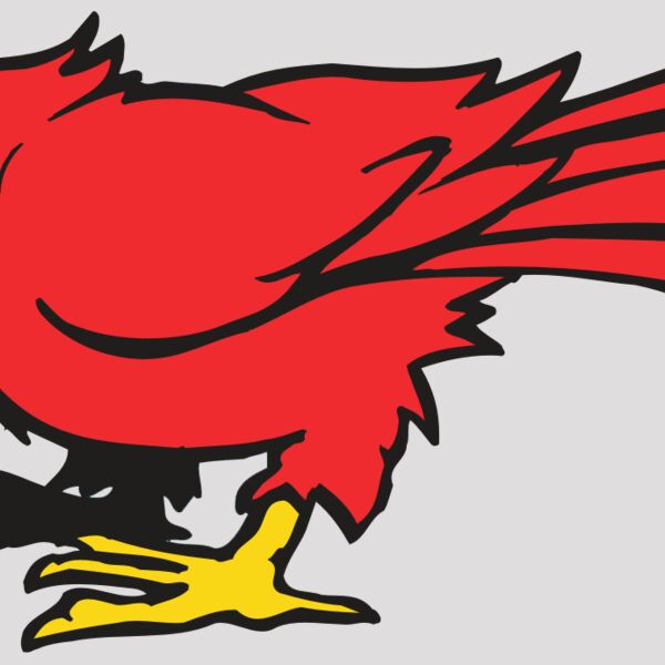 AR CARDINAL 11 RC Thumbnail