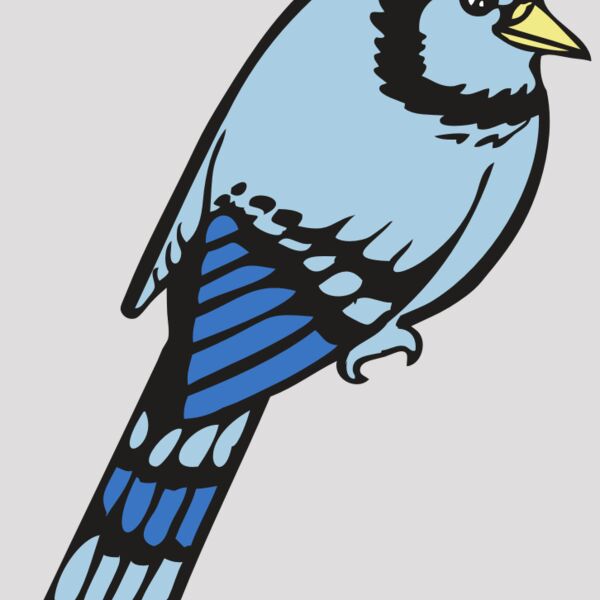 BAW BLUEJAY 08 RC Thumbnail