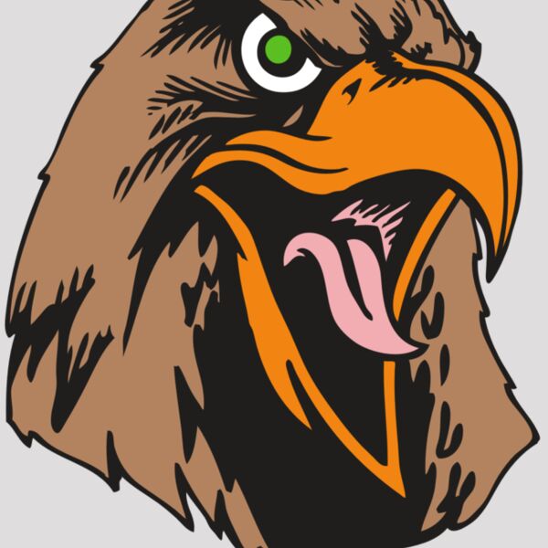 BAW HWK FLCN 01 RC Thumbnail