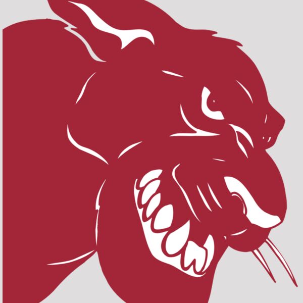 AR5 COUGAR 37 RQC Thumbnail