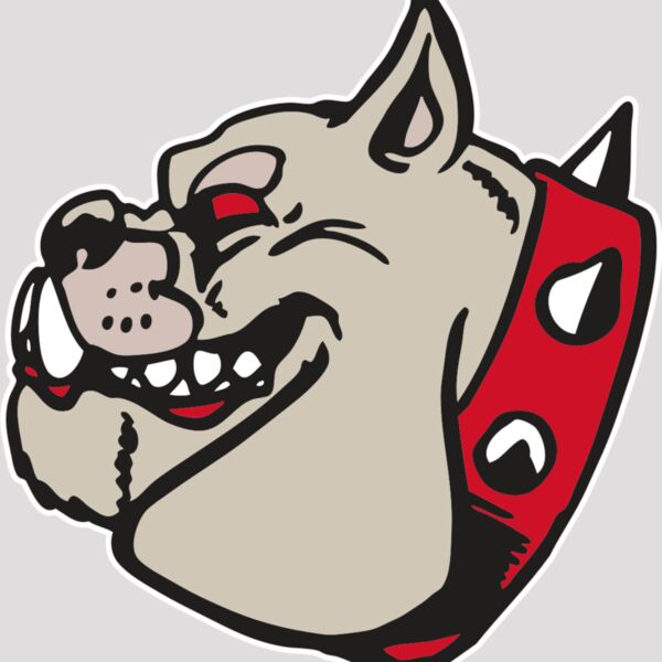 AR BDOG 47 RC Thumbnail